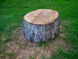 Best Lot and Land Clearing  in Park Ridge, IL