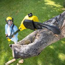 Best Seasonal Cleanup (Spring/Fall)  in Park Ridge, IL